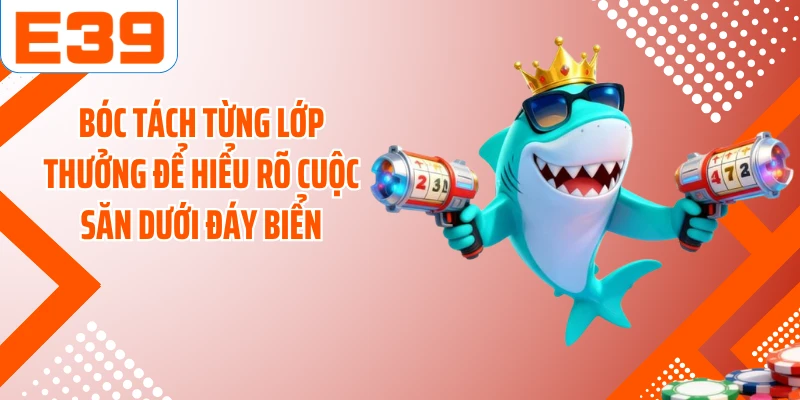 Bóc tách từng lớp thưởng để hiểu rõ cuộc săn dưới đáy biển