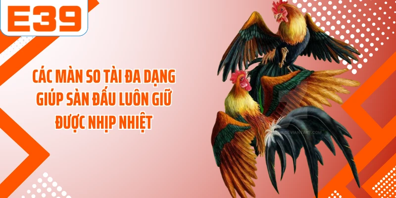 Các màn so tài đa dạng giúp sàn đấu luôn giữ được nhịp nhiệt