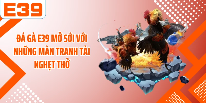 Đá gà E39 mở sới với những màn tranh tài nghẹt thở