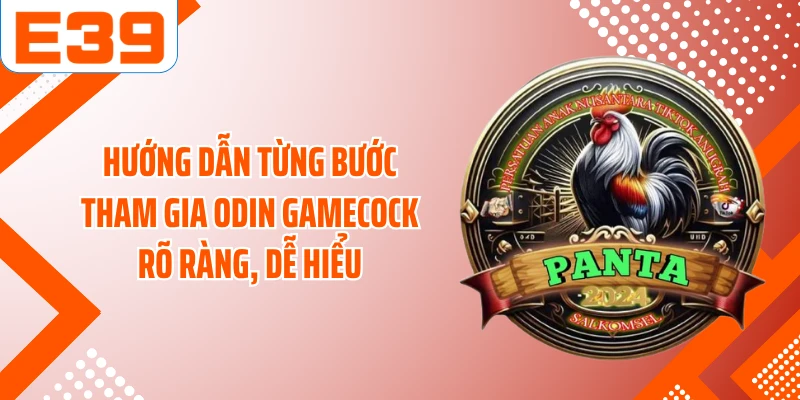 Hướng dẫn từng bước tham gia ODIN Gamecock rõ ràng, dễ hiểu