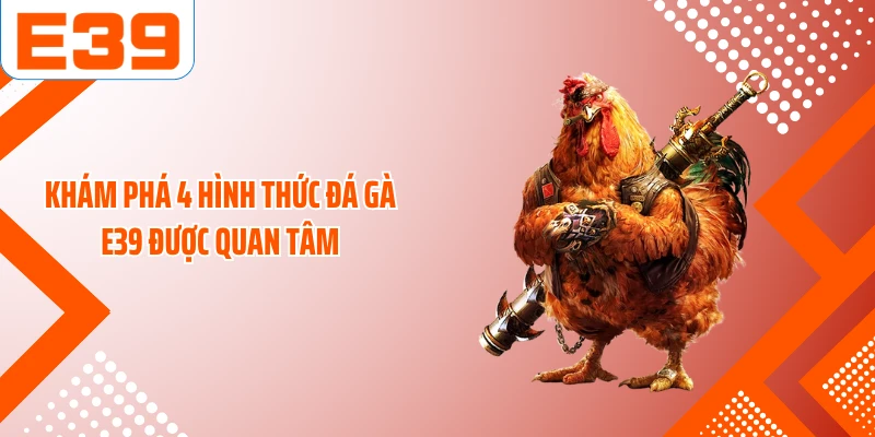Khám phá 4 hình thức đá gà E39 được quan tâm